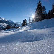 Philippa (Hampstead, London)