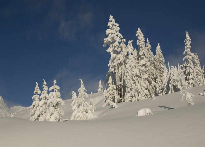 Chalet-Feiler-Big-Dump